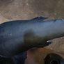 Yamaha Fazer Front mudguard and frame slider Image 3