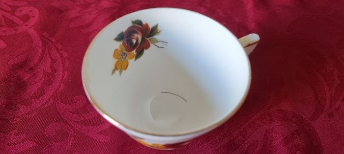 21 Piece Royal Tara Bone China Gold Gilt Red And Yellow Floral Tea Set For 6 Person Setting Made in Ireland
