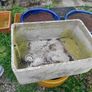 flower pots Image 2