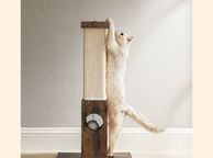 main image for ad High Quality  Cat scratching post, scratching column, scratching trunk made of natural sisal rope, scratching post with plush toy ball, scratch protection for furniture, 73 cm high, vintage brown