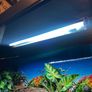 reptile vivarium Image 5