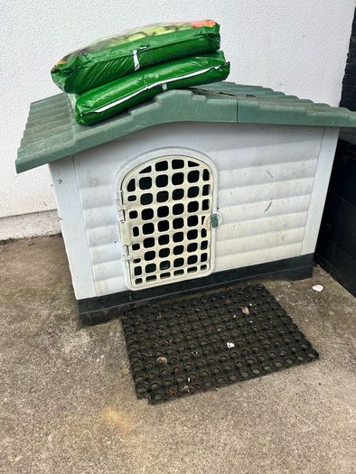 Dog house
