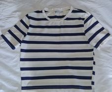 Zara Navy & Cream Striped Top