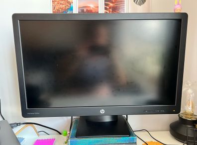 HP ProDisplay P240va