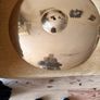 Zildjian Image 6