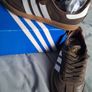 Addidas samba brown and white trainers brand new Image 5