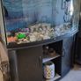 aquarium Image 2