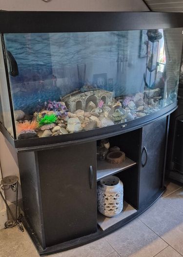 aquarium