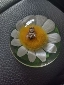 paperweight with bee inside on a daisy.Hard plastic