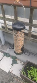 Bird Feeder