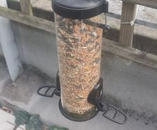 Bird Feeder