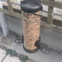 Bird Feeder