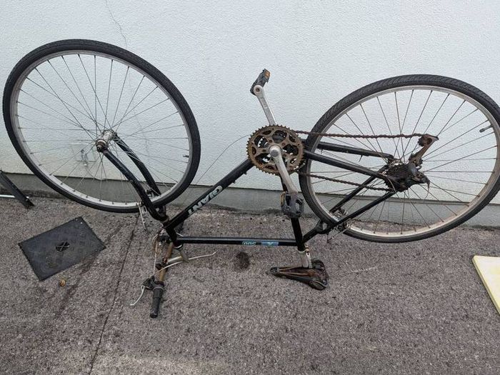 Project Giant Bicycle