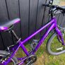 kids bike GIANT ARX20 Image 2