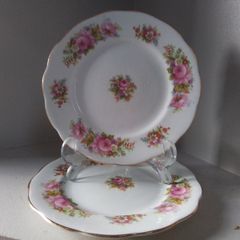 Two Royal Albert Side plates