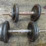 Excersize weights Image 7