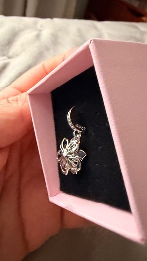 Pandora charm