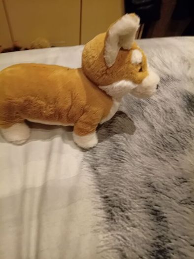 Betty the Corgi Jellycat