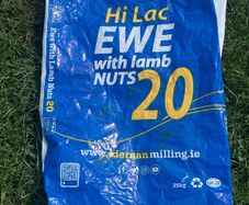 200+ empty bags