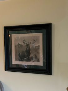 Red stag framed picture