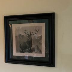 Red stag framed picture