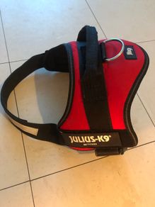 dog harness