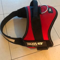 dog harness