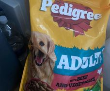 20kg Pedigree dog food