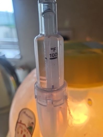 egg incubator