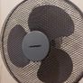 Fan Image 2