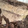 granite stepping stones Image 3