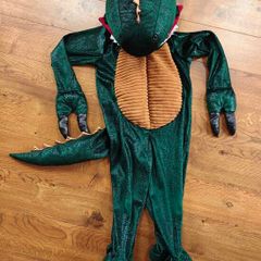 Dinosaur costume, age 3-4