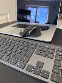 logitech mx3 for max mice only