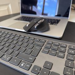 logitech mx3 for max mice only