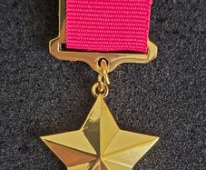 Russian  , ussr , red army, hero of the Soviet Union gold star.