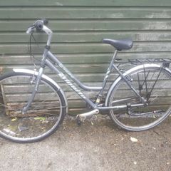 LADIES BIKE Ignito Traverso - grey