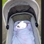 Venicci beige pram Image 3