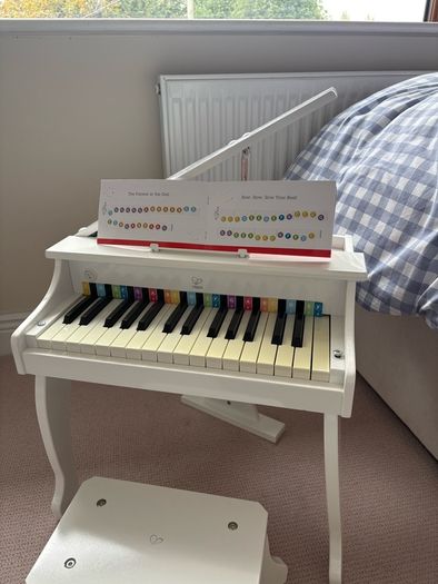 Toy Grand Piano (Hape)