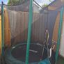 Trampoline Image 2