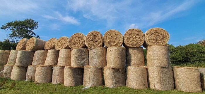 Round bales Hay
