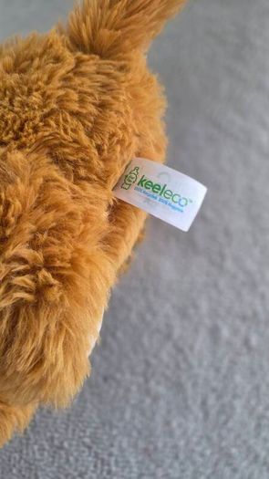 Keeleco teddy| brand new