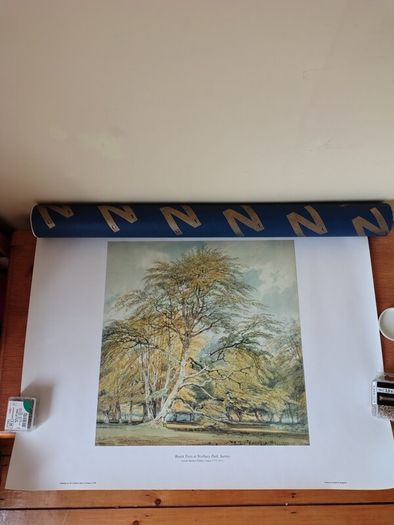 National Gallery Turner Print of Beech Trees.