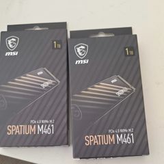 1 X Msi Spatium M461 1tb Nvme