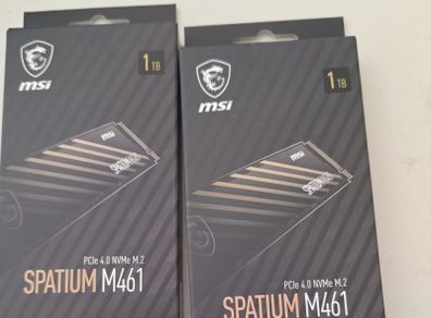 1 X Msi Spatium M461 1tb Nvme