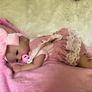 Reborns By Laura.  Stunning Baby Emily Reborn Doll. 4lb In Weight Welcome To View Image 6