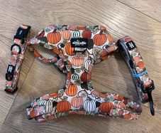 Dog harness and lead. Size S. 7 designs available. 20 euro each.