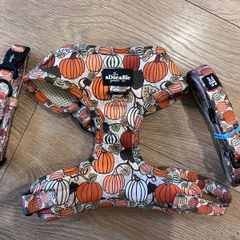 Dog harness and lead. Size S. 7 designs available. 20 euro each.