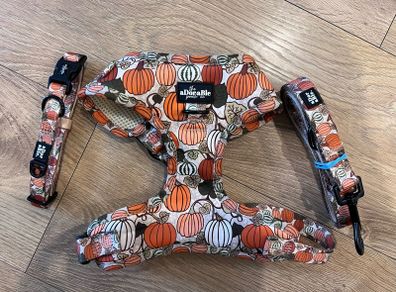 Dog harness and lead. Size S. 7 designs available. 20 euro each.