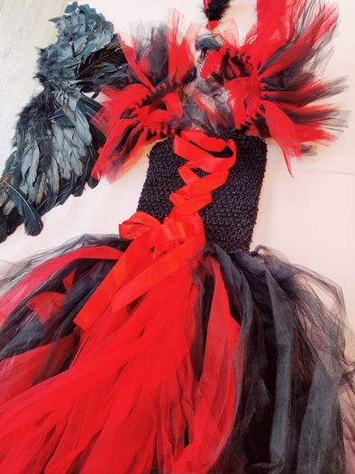 Fancy Dress Costume