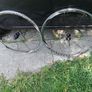 bontrager wheels Image 6